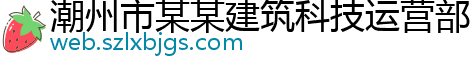 潮州市某某建筑科技运营部